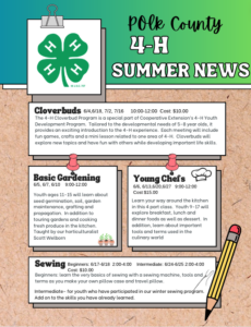 Cover photo for Polk County 4-H Summer Classes - 2024